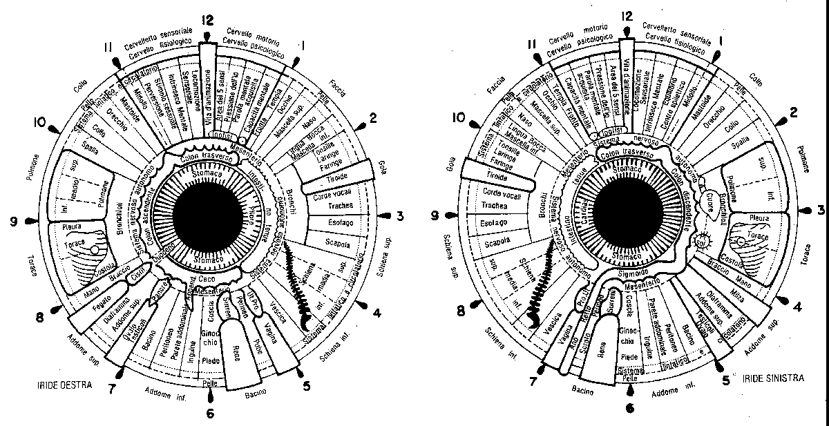 Description: Iridologia dr. Massimo Melelli Roia